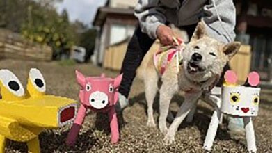 ベリーのおうち セカンドハウス_サブドッグラン