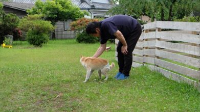 ベリーのおうち セカンドハウス_介護風景(歩行訓練)