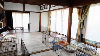 老犬ホーム暖家_ワンちゃんのお部屋